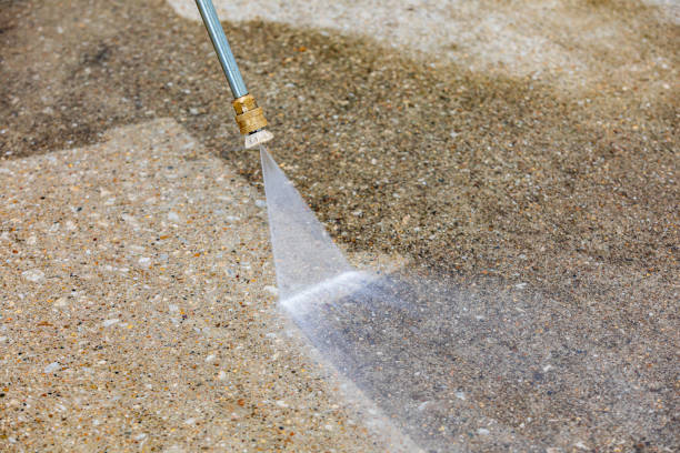 Animal Enclosure Cleaning in Pasadena, TX